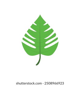 illustration of vector maple leaf
