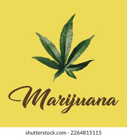 illustration vector of Marijuana or cannabis leaf