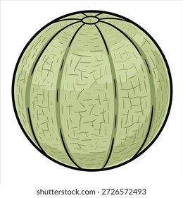 Illustrationsvektor einer Melone Frucht buntes Design