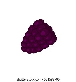 Illustration vector of mulberry fruit.