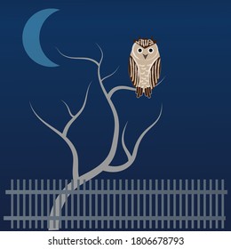 ilustración vector de silencio nocturno. Pasos 10