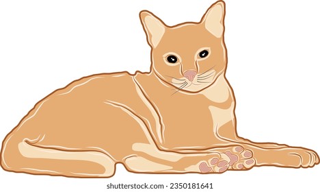 Illustration oder Vektorgrafik einer orangefarbenen Katze, die dahinter liegt.