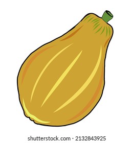 Illustration vector of papaya fruit.