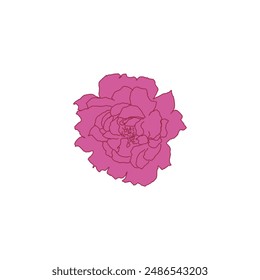 un Vector de ilustración de la flor de la peonía