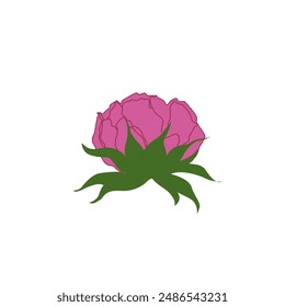 un Vector de ilustración de la flor de la peonía