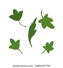 ilustración Vector de hojas de peonía