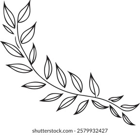 illustration vector pic , feather , leaf, beauty typography flower art