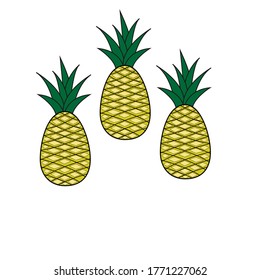 illustration vector of pineapple isolated on white background. eps 10