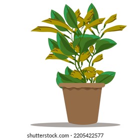 Illustration vector plant pot, home decoration, wall work, home environment isolated background
