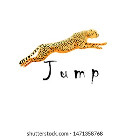 Illustration vector pounding cheetah symbol isolated on a white background.