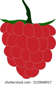 ejemplo vector raspberry health fruit