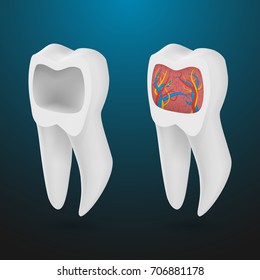 Illustration of Vector Realistic 3D Tooth Set. Healthy Teeth Set Care Vector Product Template