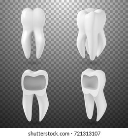 Illustration of Vector Realistic 3D Tooth Set. Healthy Teeth Set Care Vector Product Template Isolated on Transparent Background