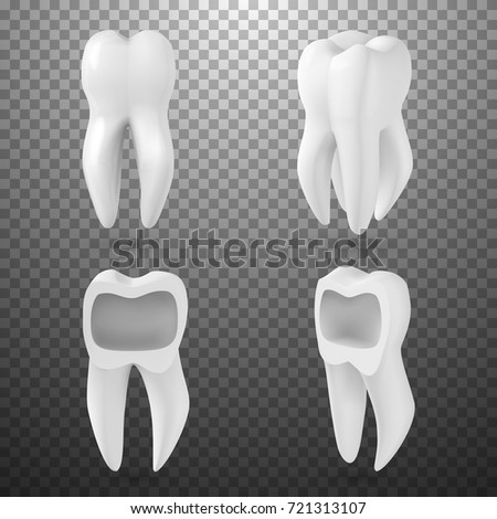Illustration of Vector Realistic 3D Tooth Set. Healthy Teeth Set Care Vector Product Template Isolated on Transparent Background