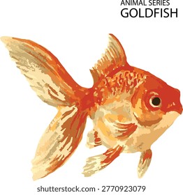 illustration vector of red gold fish