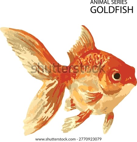 illustration vector of red gold fish