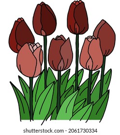 Illustration vector of The red tulips that are still in bud are so pretty, perfect for advertisements, magazines, media uploads, backgrounds, logos, stickers and symbols of a product.