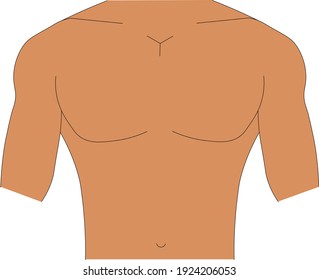 Illustration vector of semi-muscular fit male chest torso with tan skin tone color