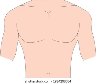 Illustration vector of semi-muscular fit male chest torso with pink skin tone color