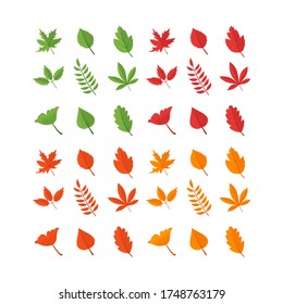 Illustration Vector Set Autumn Leaf Stock Vector (Royalty Free ...