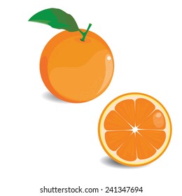 Illustration vector set of orange on white background 2