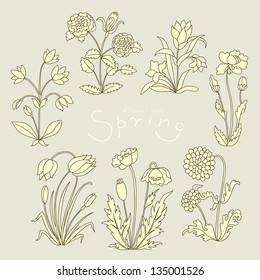 Illustration, a vector set of several spring and summer flowers