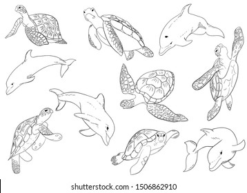 Illustration vector set of swimming dolphins and turtles on white background