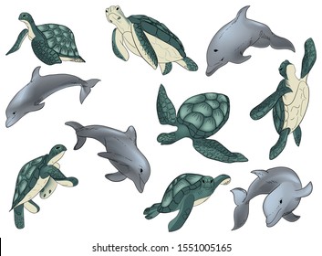 Illustration vector set of swimming dolphins and turtle with isolated on white background