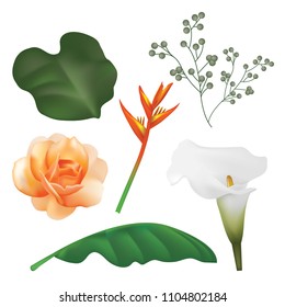 Illustration Vector Set of Tropical leaf and Flowers on White Background.