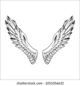 Angel Wings Picture Vector Illustration Isolated Stock Vector (royalty 