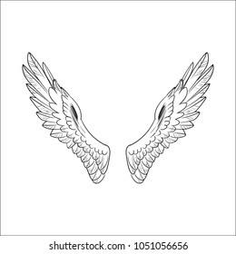illustration vector set wings, vector illustration