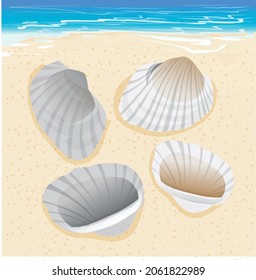 illustration vector shell at the beach suitable for decoration icon symbol 
design brown background