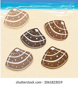 illustration vector shell at the beach suitable for decoration icon symbol 
design brown background