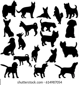 Illustration, vector, silhouette dog collection