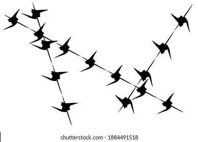 Illustration Vector Strands of barb wire 
