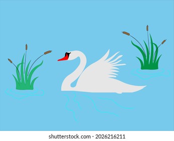 illustration vector swan swimming in the lake