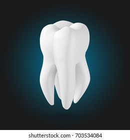 Illustration of Vector Tooth. Realistic 3D Teeth Template