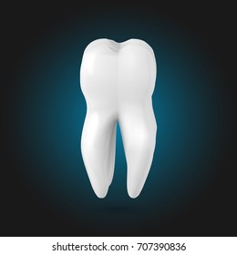 Illustration of Vector Tooth. Realistic 3D Teeth Template
