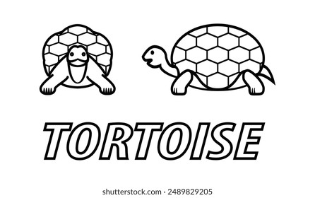 Illustration vector of Tortoise symbol logo icon