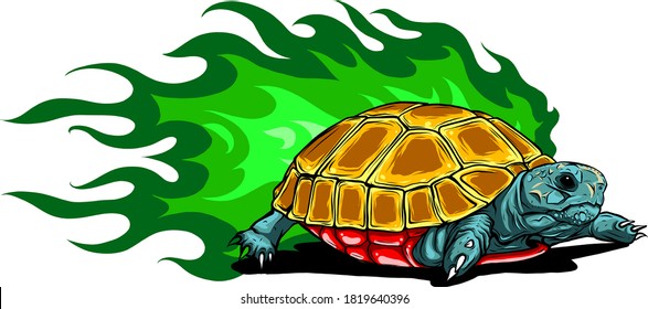 Illustration of Vector Tortoises with green flames