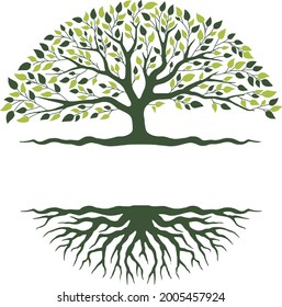 raíz de árbol vectorial de ilustración grande
