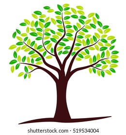 Illustration of vector tree on white background