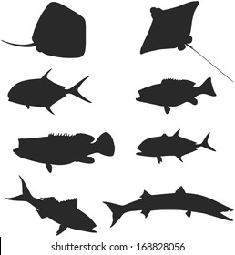 Illustration vector of tropical fish