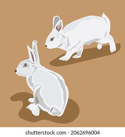 illustration vector two rabbits in brown background, suitable for various designs, posters