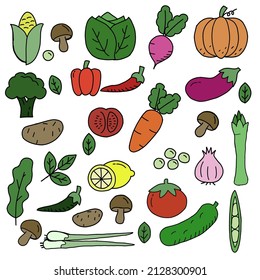 Illustration vector of various kinds of vegetables, there are asparagus, tomatoes, pumpkin, onions, and others.