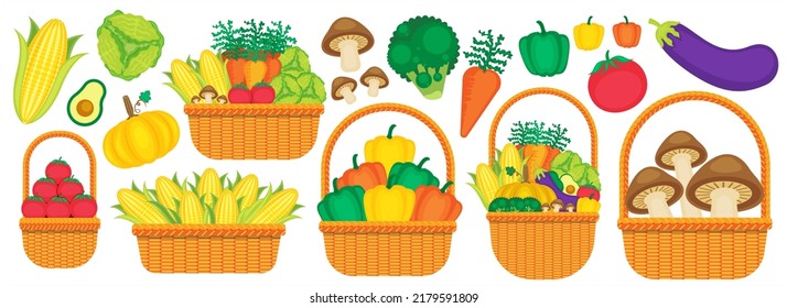 illustration vector vegetable in basket isolated on white background