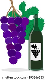 Illustration (vector) of a wine bottle and grapes. 