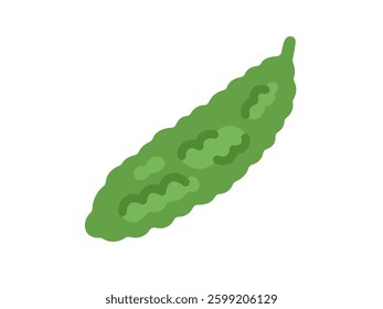 Illustration of vegetable bitter gourd icon.