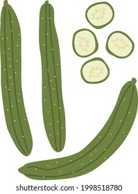 Ilustración de pepino vegetal y rodajas de clavija cortada