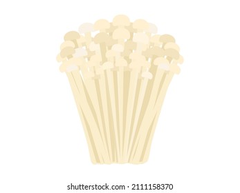 Illustration of vegetable enoki mushroom.